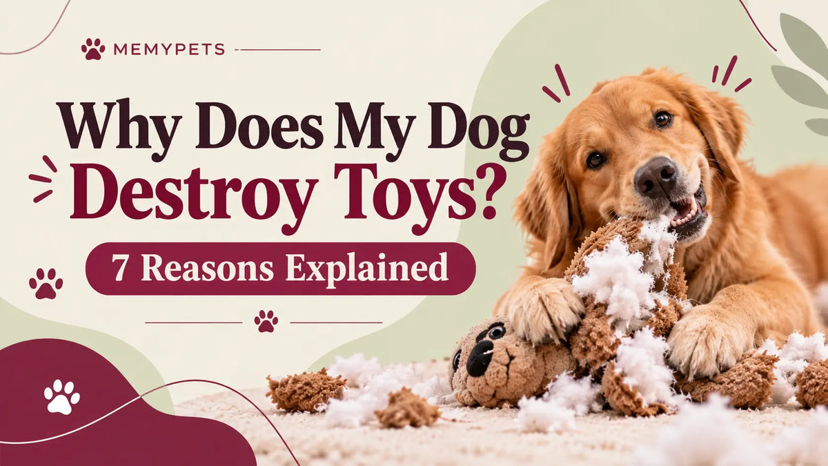 Golden retriever destroying a plush toy with stuffing scattered around it