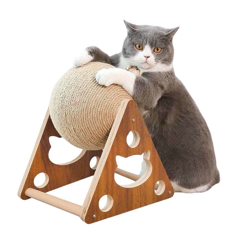 Cat playing with a toy